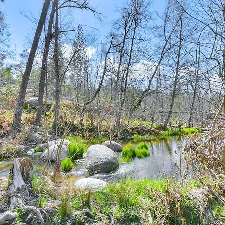 Waterfront Mariposa Hideaway Hot Tub And Mtn Views! Vila Exterior foto